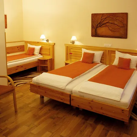 Manzard Panzio Hotel