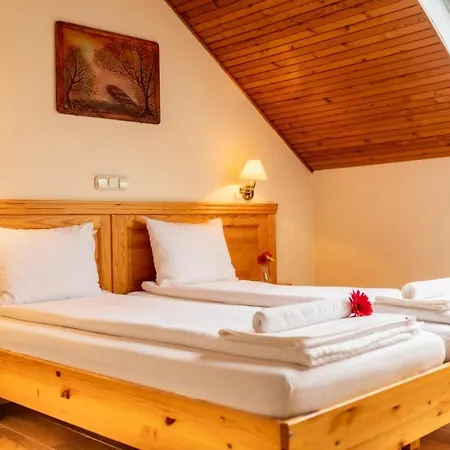 Bed & Breakfast Manzard Panzio 3*
