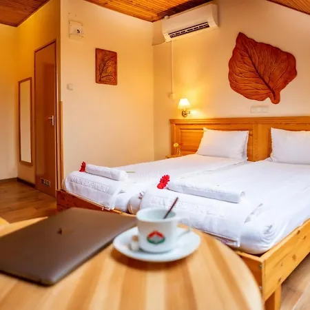 Manzard Panzio Bed & Breakfast Budapest