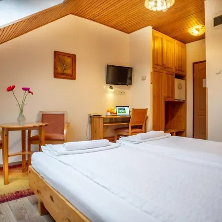 Manzard Panzio 3* Budapest