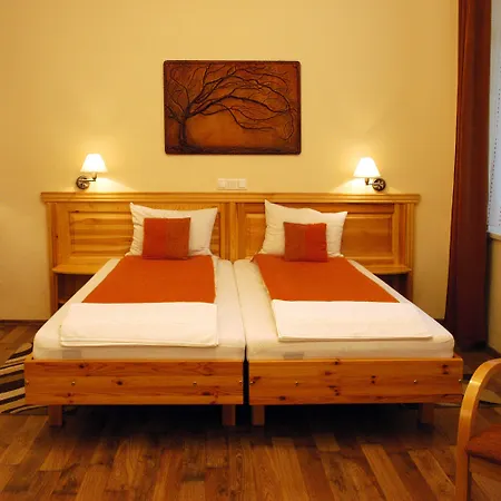 Manzard Panzio 酒店