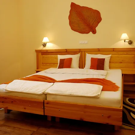 Manzard Panzio 酒店 3*