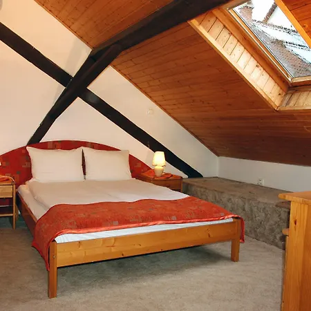 Manzard Panzio 酒店