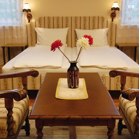 Manzard Panzio 酒店