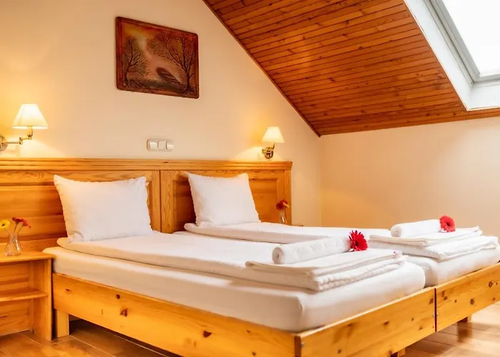 Hotel Manzard Panzio 3*