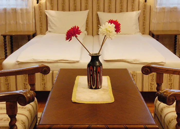 Manzard Panzio Hotel