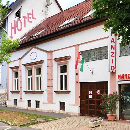Manzard Panzio 호텔