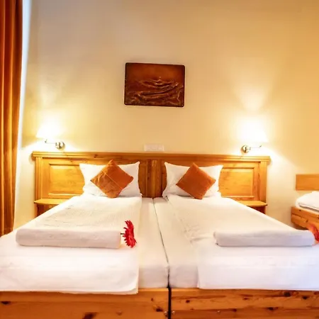 Manzard Panzio 호텔 3*