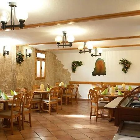 호텔 Manzard Panzio 3*