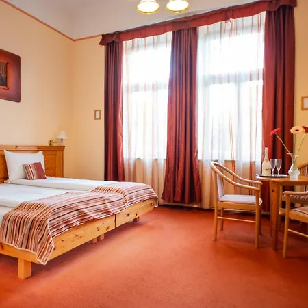 Manzard Panzio 호텔