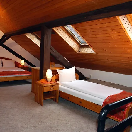 호텔 Manzard Panzio 3*