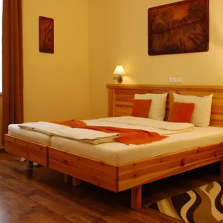 Manzard Panzio 호텔 3*