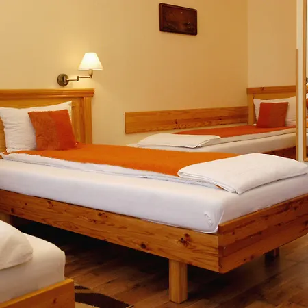 Manzard Panzio 호텔 3*