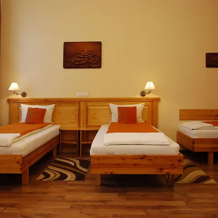 Hotel Manzard Panzio