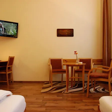 호텔 Manzard Panzio 3*