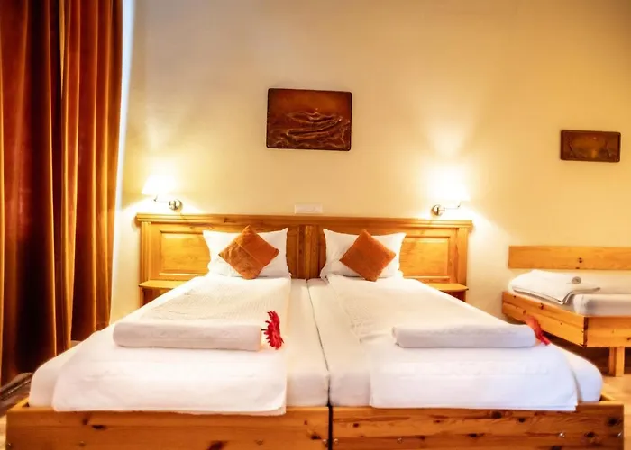 Manzard Panzio Hotel 3*